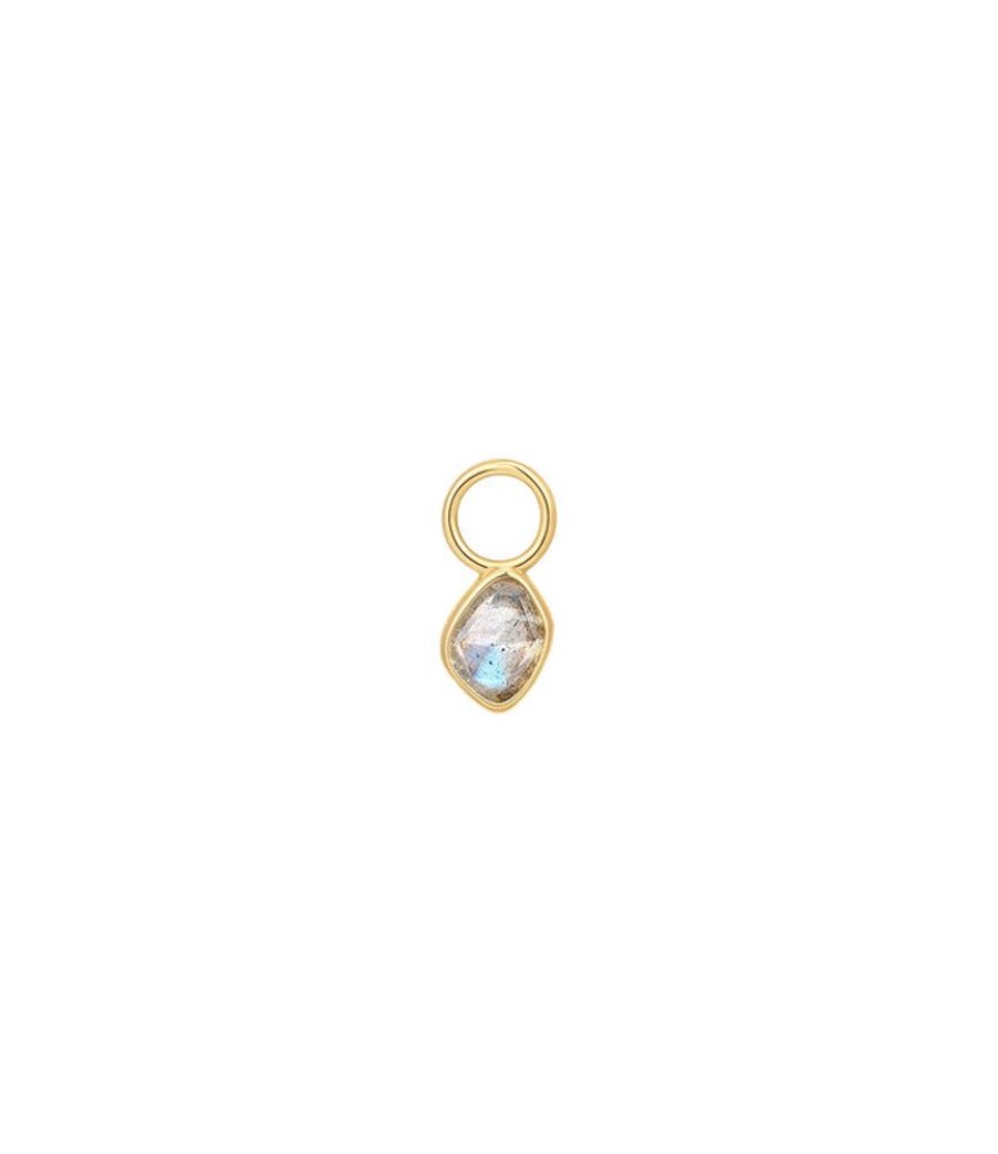 Juwelen Ania Haie | Ania Haie Charm Earring Gold Labradorite