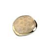 Juwelen MelanO | Melano Ko Shaped Disk Fossil Coral